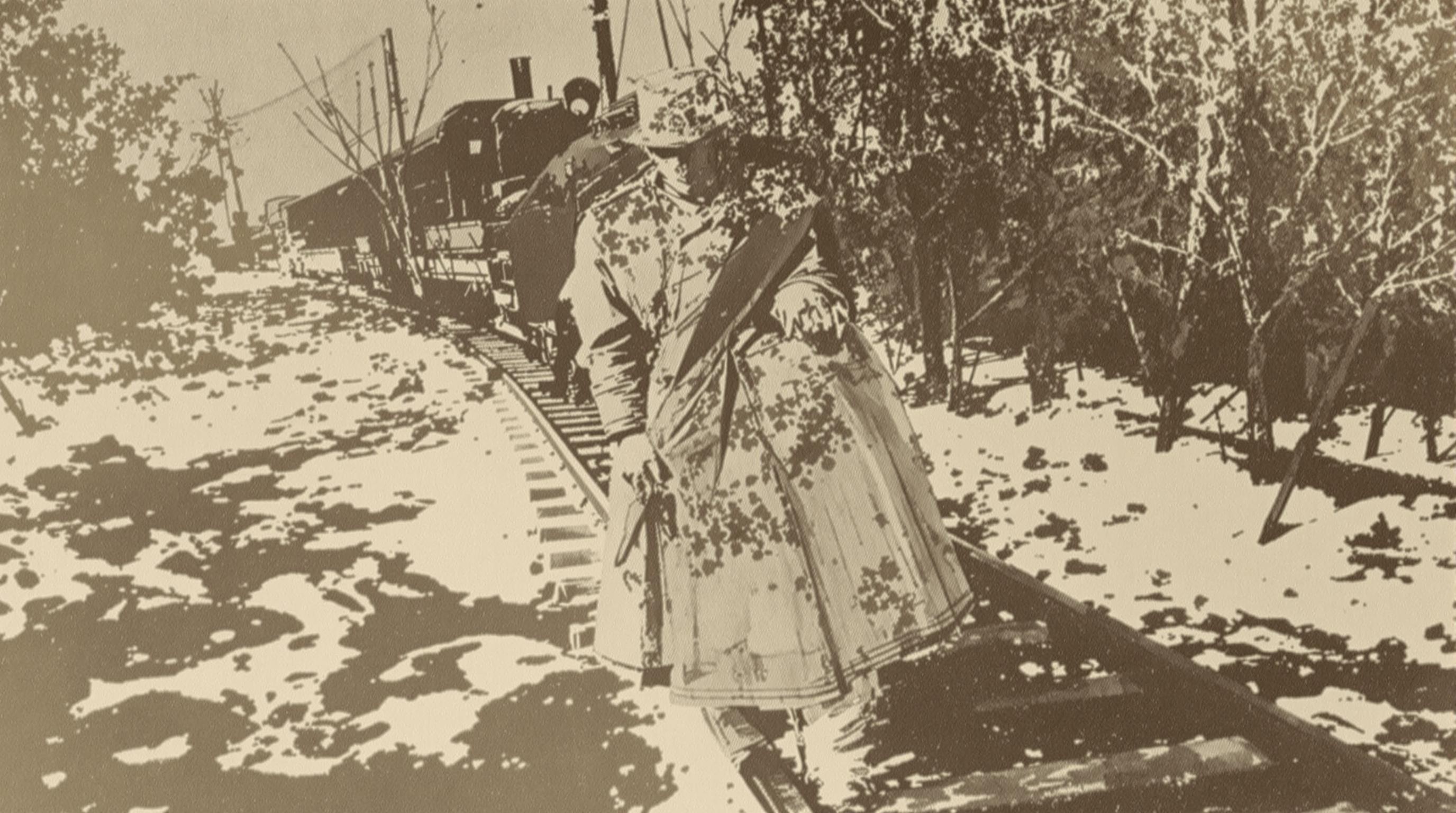 Кто из русских поэтов описал строительство железной дороги – Николай Некрасов и его поэма